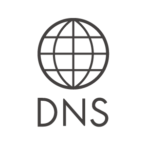 DNSのアイコン02