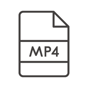 MP4のファイルアイコン02