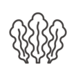 海藻・わかめのアイコン