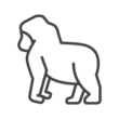 ゴリラのアイコン