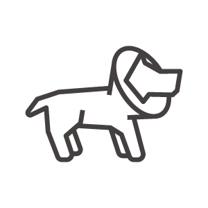 エリザベスカラーを付けた犬のアイコン