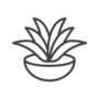 アロエのアイコン