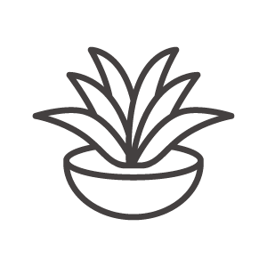 アロエのアイコン